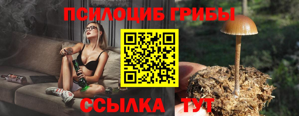 Галлюциногенные грибы MAGIC MUSHROOMS  Вход с VPN  Галлюциногенные грибы прущие грибы  наркотики  Россошь 